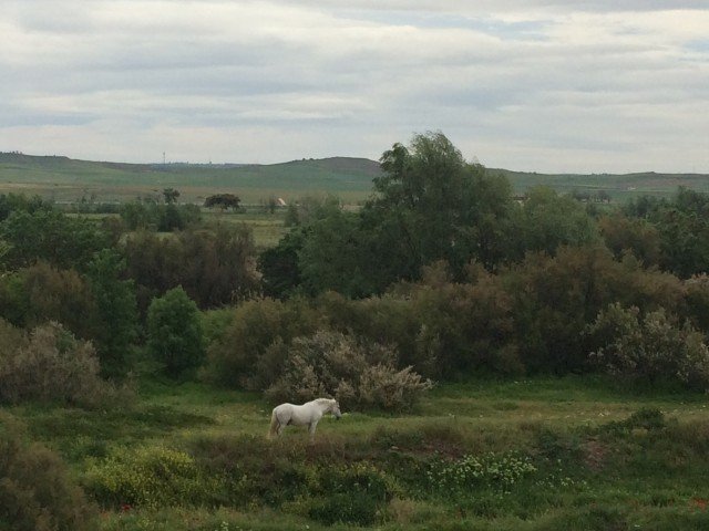 Entrenando para el Camino de Santiago