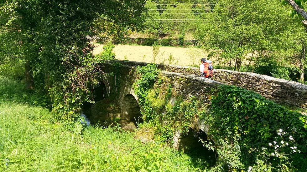 Camino francés desde El Bierzo